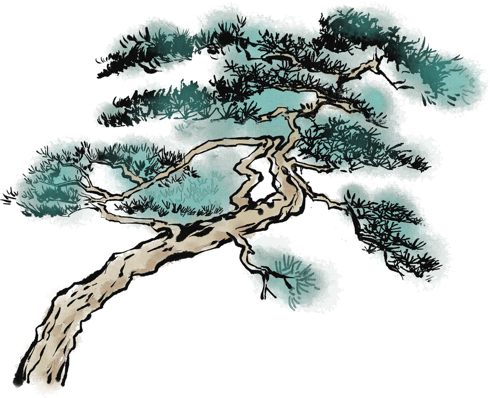 中国传统思想家文人墨客水墨插画-松树